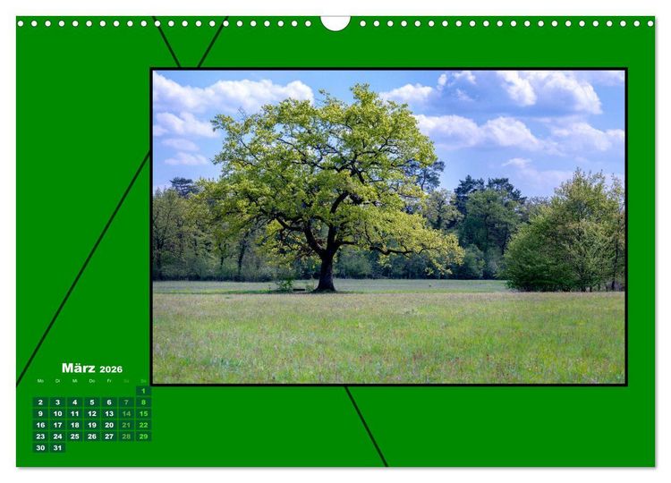 Produktbild: Heilende Farbe Gr&uuml;n (Wandkalender 2026 DIN A3 quer), CALVENDO Monatskalender