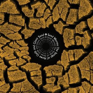 Produktbild: Sandworms (The Songs Of Howe Gelb And Giant Sand)