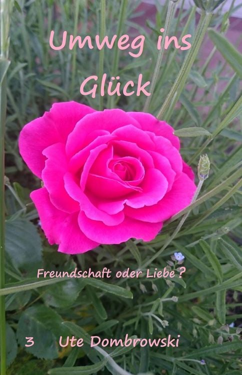 Produktbild: Umweg ins Gl&uuml;ck