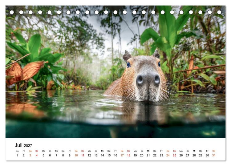 Produktbild: Capybara - die Ruhe als Lebensform (Tischkalender 2027 DIN A5 quer), CALVENDO Monatskalender