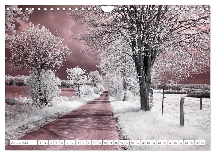 Produktbild: Zauberhafte Infrarot-Fotografie (Wandkalender 2026 DIN A4 quer), CALVENDO Monatskalender