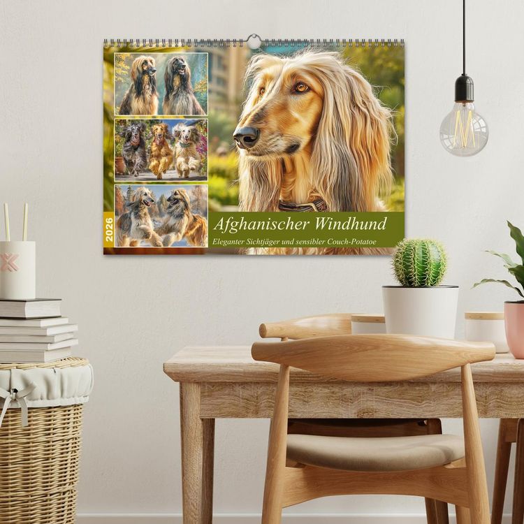 Produktbild: Afghanischer Windhund. Eleganter Sichtj&auml;ger und sensibler Couch-Potatoe (Wandkalender 2026 DIN A3 quer), CALVENDO Monatskalender