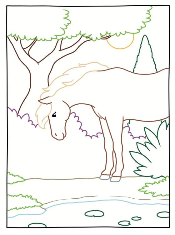Produktbild: Zauberpapier - Das gro&szlig;e Malbuch - Pferde und Ponys