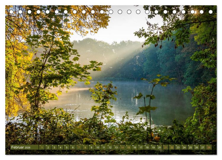 Produktbild: Herbst im Dieskauer Park (Tischkalender 2026 DIN A5 quer), CALVENDO Monatskalender