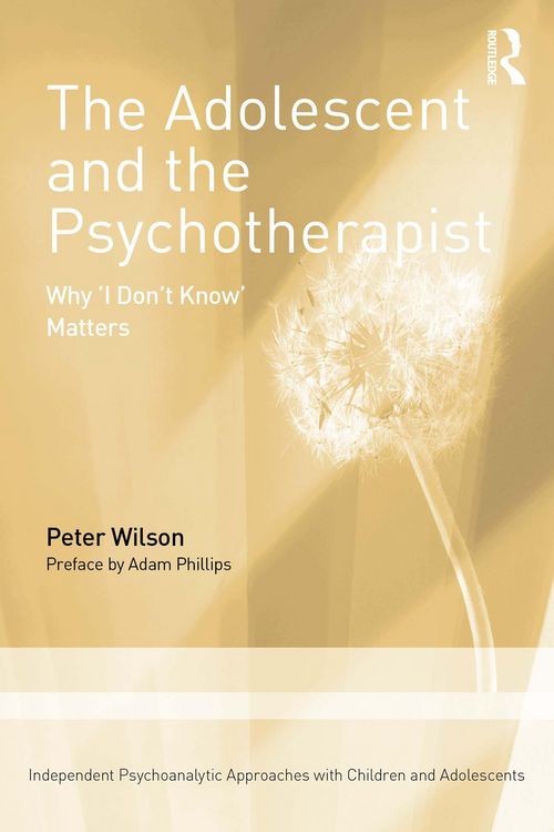 Produktbild: The Adolescent and the Psychotherapist