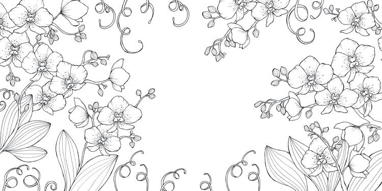 Produktbild: Bl&uuml;tentraum &ndash; Florale Motive ausmalen