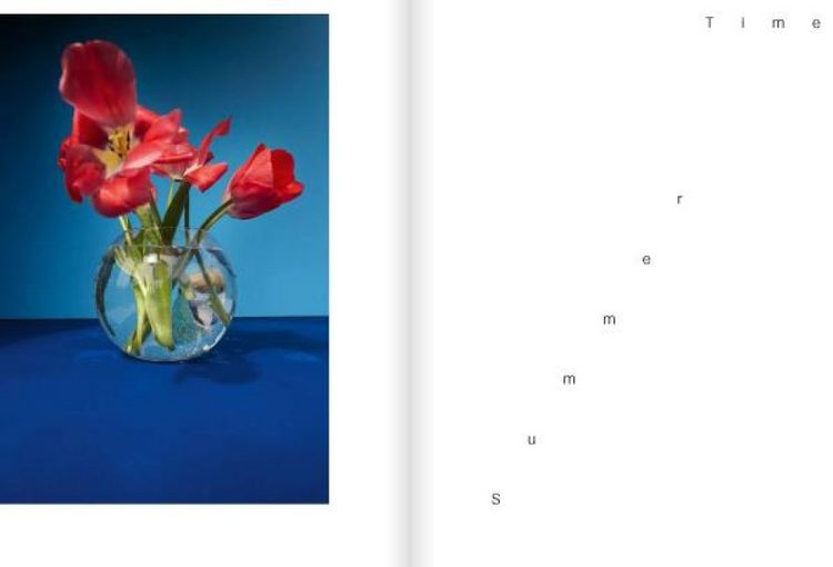 Produktbild: Kristin Schnell