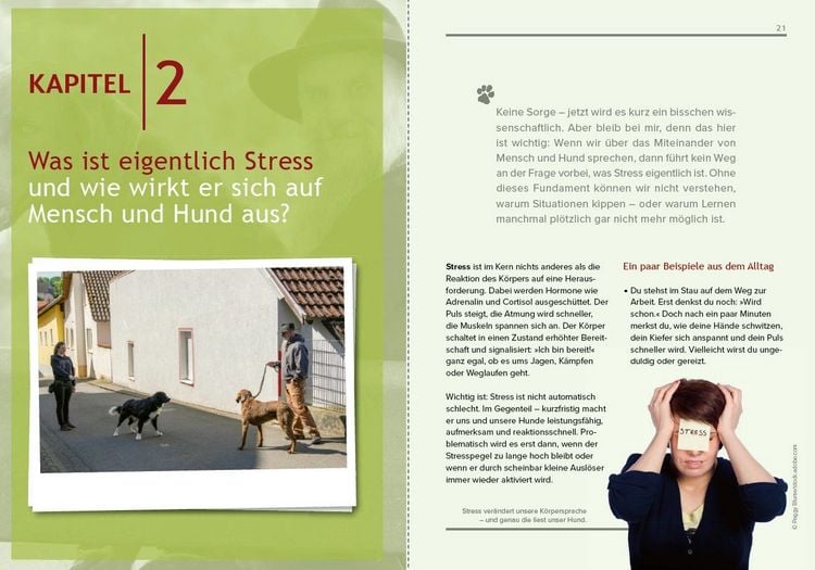 Produktbild: Hundeerziehung mit Holger Sch&uuml;ler Ohne Stress zu einer guten Beziehung
