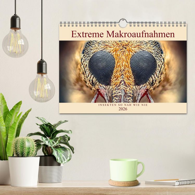 Produktbild: Extreme Makroaufnahmen - Insekten so nah wie nie (Wandkalender 2026 DIN A4 quer), CALVENDO Monatskalender