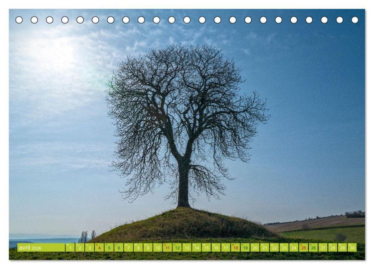 Produktbild: Solitude verdoyante (Calendrier de bureau 2026 DIN A5 vertical), CALVENDO calendrier mensuel