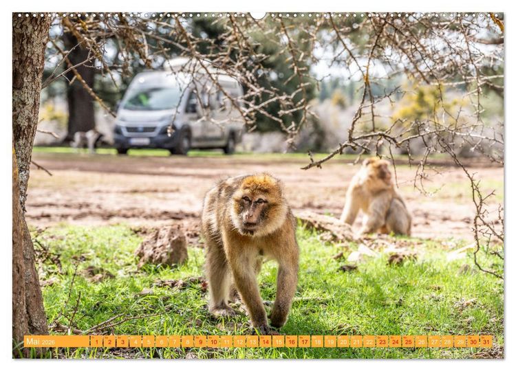 Produktbild: MAROKKO per WOHNMOBIL (hochwertiger Premium Wandkalender 2026 DIN A2 quer), Kunstdruck in Hochglanz