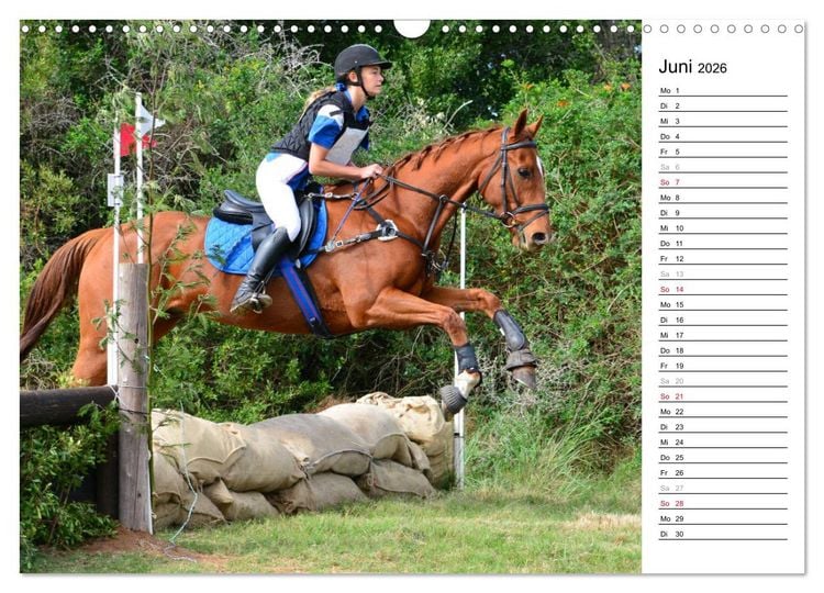 Produktbild: Mein Reitsport Kalender (Wandkalender 2026 DIN A3 quer), CALVENDO Monatskalender