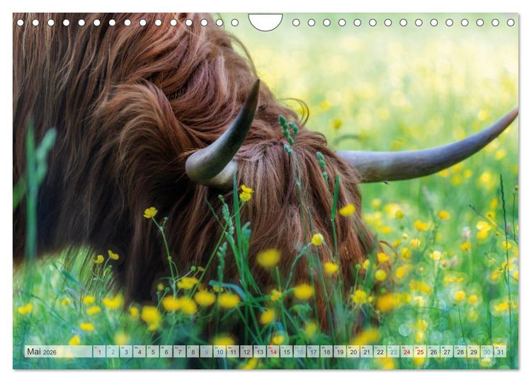 Produktbild: Mein Norderstedt (Wandkalender 2026 DIN A4 quer), CALVENDO Monatskalender