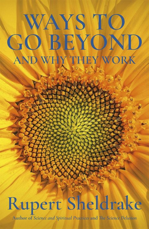 Produktbild: Ways to Go Beyond and Why They Work