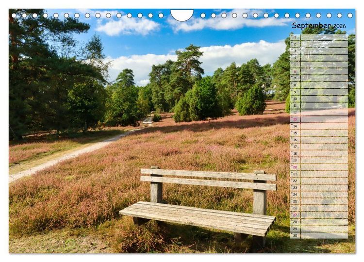 Produktbild: Heidespaziergang (Wandkalender 2026 DIN A4 quer), CALVENDO Monatskalender