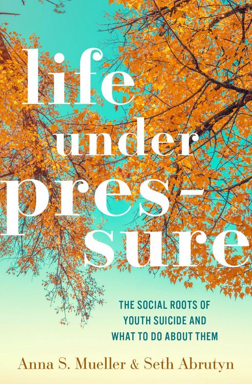 Produktbild: Life under Pressure