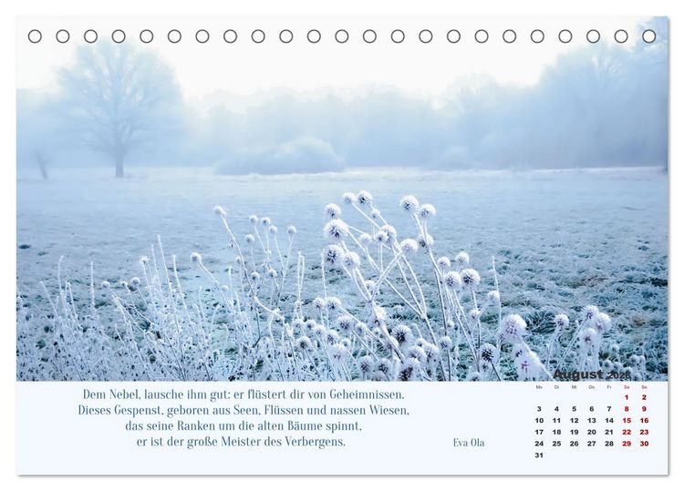 Produktbild: Nebelfarben. Ein poetischer Spaziergang (Tischkalender 2026 DIN A5 quer), CALVENDO Monatskalender