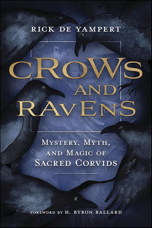 Produktbild: Crows and Ravens