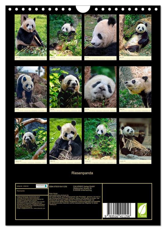 Produktbild: Riesenpanda (Wandkalender 2026 DIN A4 hoch), CALVENDO Monatskalender