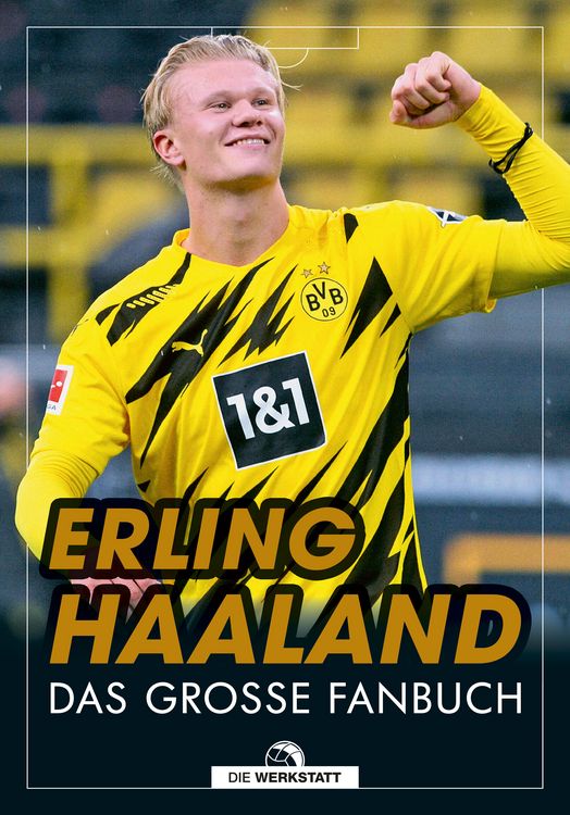 Produktbild: Erling Haaland