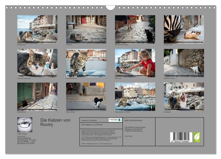 Produktbild: Die Katzen von Rovinj (Wandkalender 2026 DIN A3 quer), CALVENDO Monatskalender