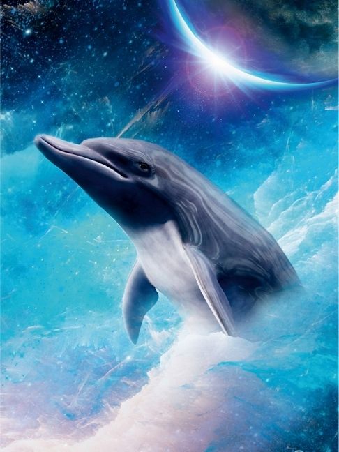 Produktbild: CALVENDO Puzzle Geheimnisvolle Delfine | 1000 Teile Lege-Gr&ouml;&szlig;e 64x48cm Foto-Puzzle f&uuml;r gl&uuml;ckliche Stunden