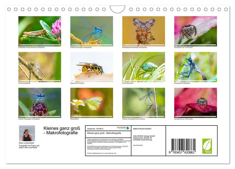 Produktbild: Kleines ganz gro&szlig; - Makrofotografie (Wandkalender 2026 DIN A4 quer), CALVENDO Monatskalender