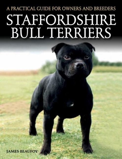 Produktbild: Staffordshire Bull Terriers