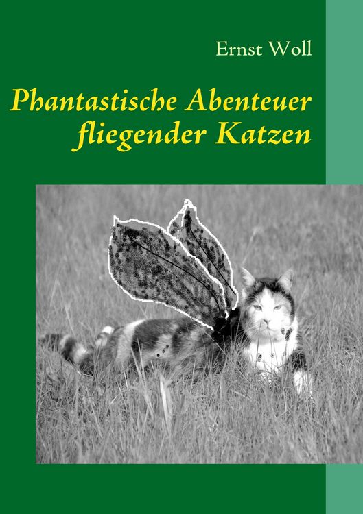 Produktbild: Phantastische Abenteuer fliegender Katzen