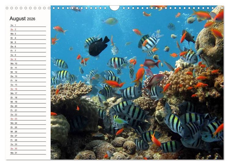 Produktbild: Paradiese. Karibik und S&uuml;dsee &uuml;ber und unter Wasser (Wandkalender 2026 DIN A3 quer), CALVENDO Monatskalender