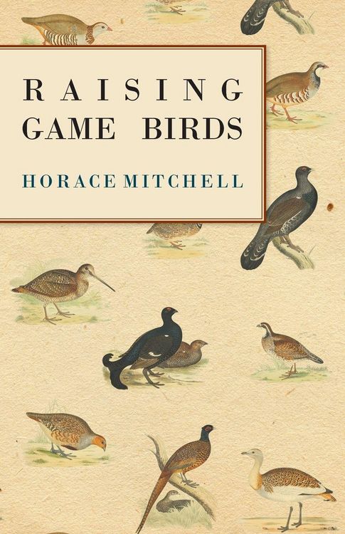 Produktbild: Raising Game Birds