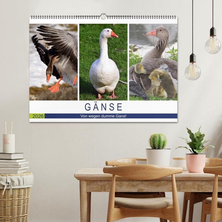 Produktbild: G&auml;nse. Von wegen dumme Gans! (Wandkalender 2026 DIN A2 quer), CALVENDO Monatskalender