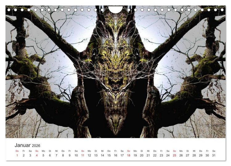 Produktbild: Spiegelwelten - Natur anders sehen (Wandkalender 2026 DIN A4 quer), CALVENDO Monatskalender