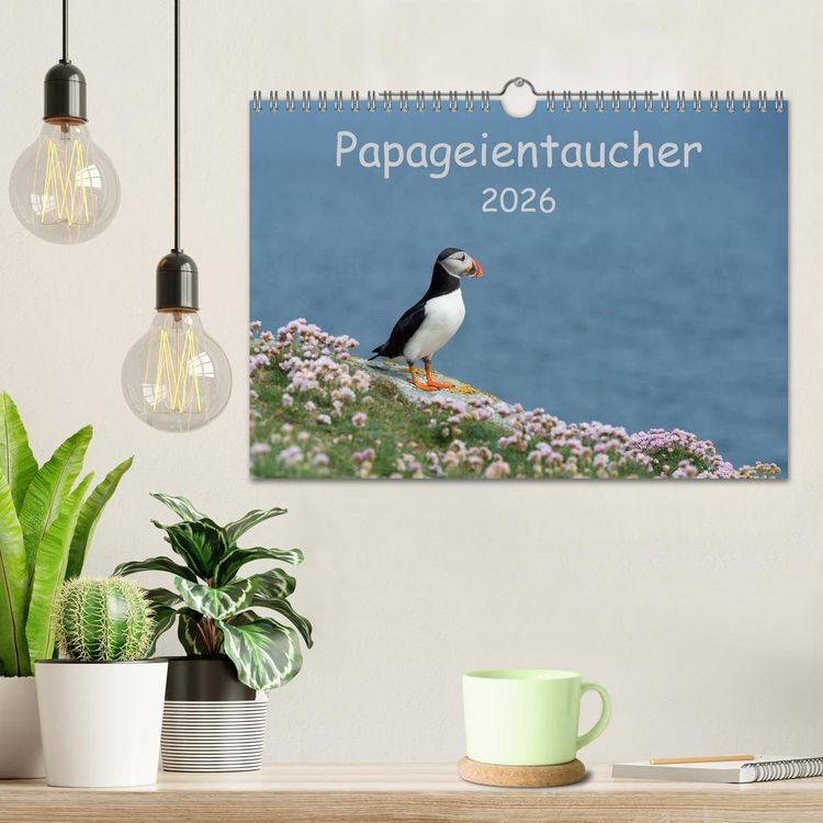 Produktbild: Papageientaucher 2026 (Wandkalender 2026 DIN A4 quer), CALVENDO Monatskalender