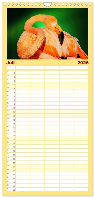Produktbild: Familienplaner 2026 - Die bunte Welt der V&ouml;gel mit 5 Spalten (Wandkalender, 21 x 45 cm) CALVENDO
