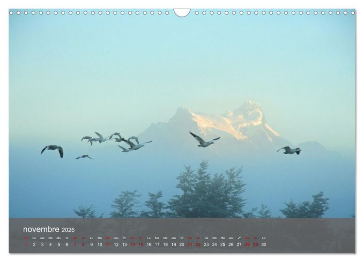 Produktbild: Patagonie Chilienne (Calendrier mural 2026 DIN A3 vertical), CALVENDO calendrier mensuel