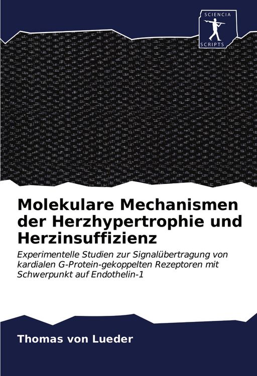 Produktbild: Molekulare Mechanismen der Herzhypertrophie und Herzinsuffizienz