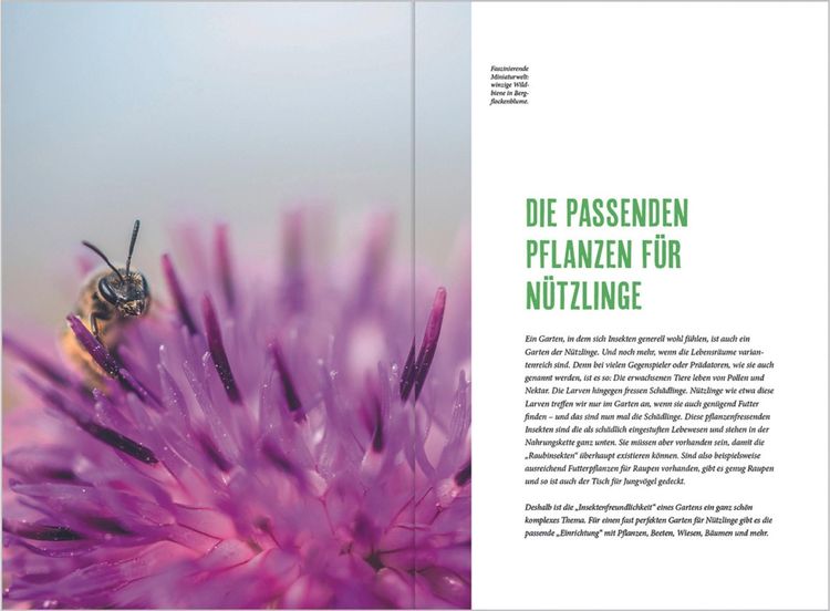 Produktbild: MDR Garten - Richtig g&auml;rtnern f&uuml;r N&uuml;tzlinge