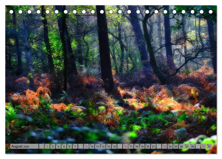 Produktbild: Spaziergang durch den Zauberwald (Tischkalender 2026 DIN A5 quer), CALVENDO Monatskalender