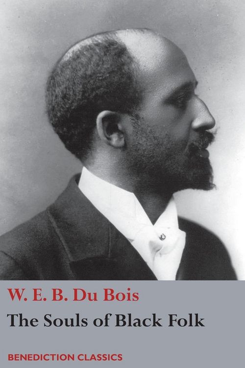 Produktbild: The Souls of Black Folk