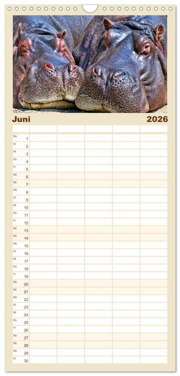 Produktbild: Familienplaner 2026 - Flusspferde - gem&uuml;tlich gef&auml;hrlich mit 5 Spalten (Wandkalender, 21 x 45 cm) CALVENDO