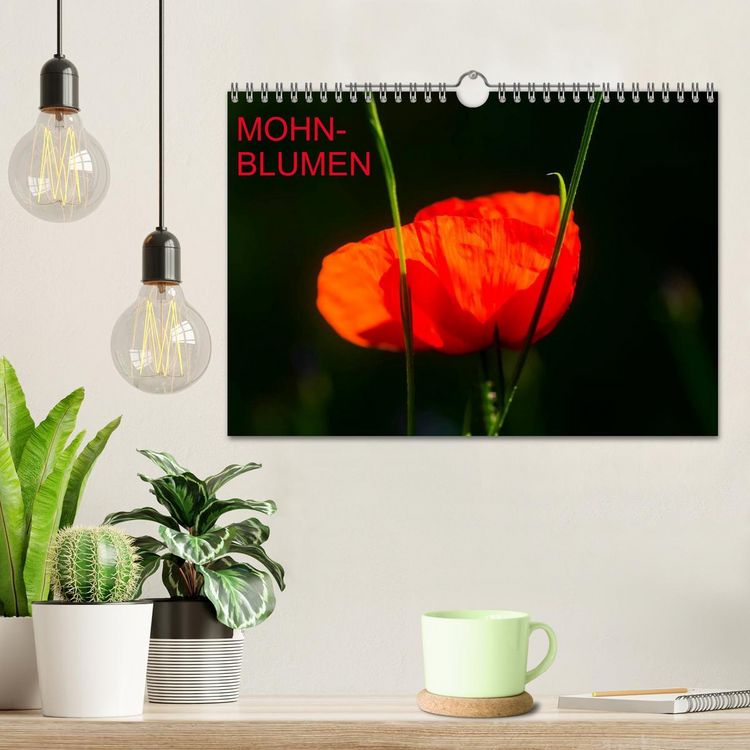 Produktbild: Mohnblumen (Wandkalender 2026 DIN A4 quer), CALVENDO Monatskalender