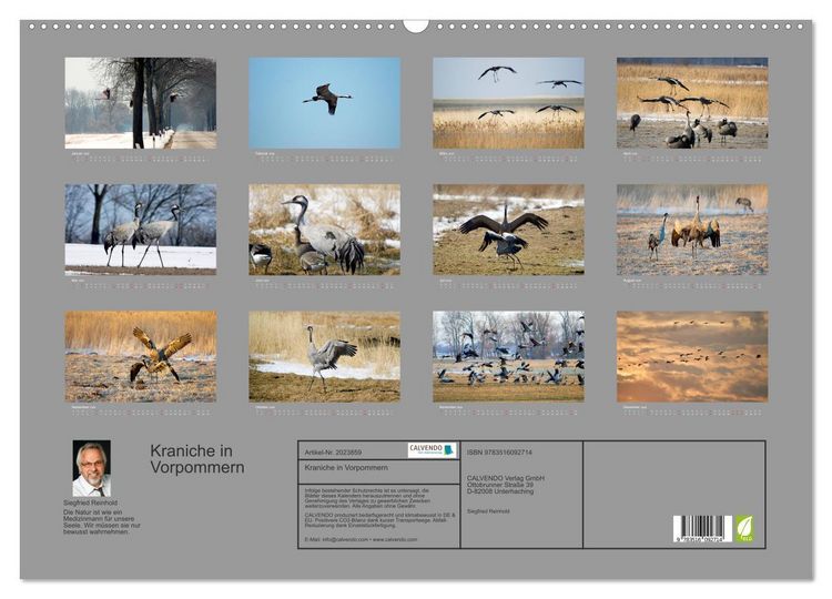 Produktbild: Kraniche in Vorpommern (Wandkalender 2026 DIN A2 quer), CALVENDO Monatskalender
