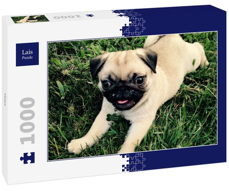 Produktbild: Lais Puzzle Mops 1000 Teile