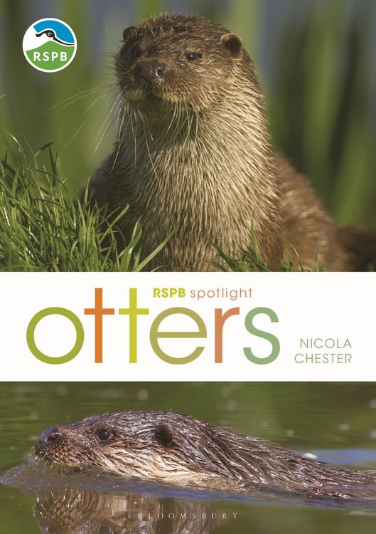 Produktbild: RSPB Spotlight: Otters