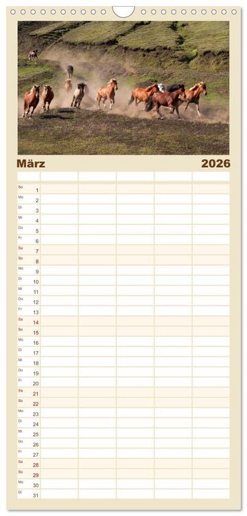 Produktbild: Familienplaner 2026 - Island - Land zwischen Feuer und Eis mit 5 Spalten (Wandkalender, 21 x 45 cm) CALVENDO