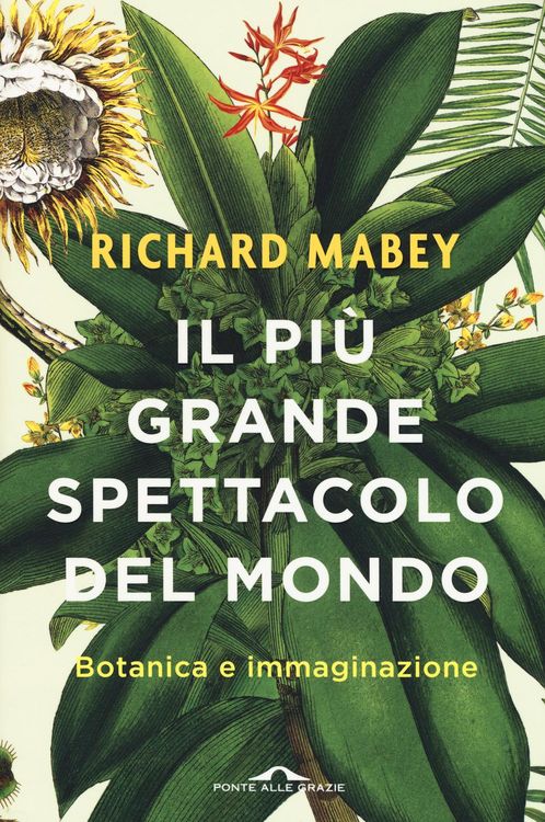 Produktbild: Il pi&ugrave; grande spettacolo del mondo. Botanica e immaginazione