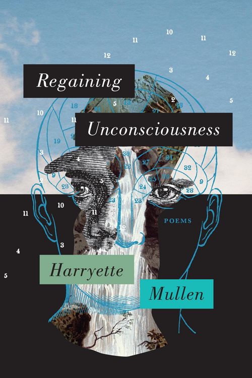 Produktbild: Regaining Unconsciousness