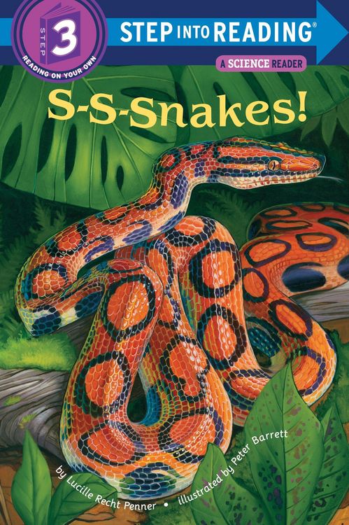 Produktbild: S-S-Snakes!