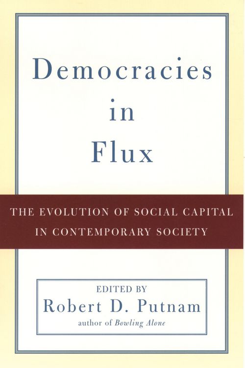 Produktbild: Democracies in Flux